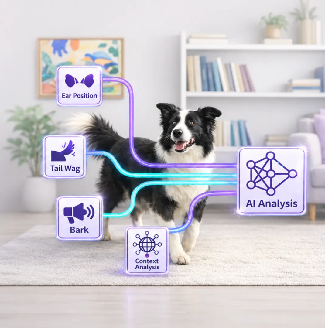 Dog body language, vocalization and context signals connecting to AI analysis